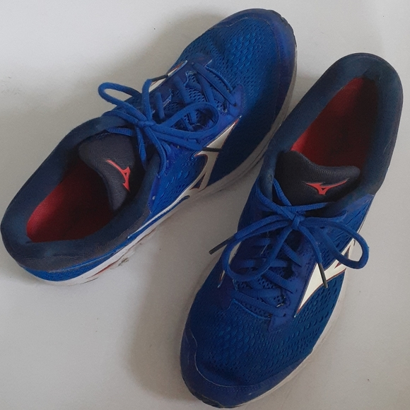 Mizuno Other - Mizuno Men's Wave Rider 22